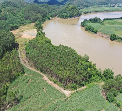 至理分析柳州市龙岭村徐兆军等人做了什么严重违法的事该受什么惩