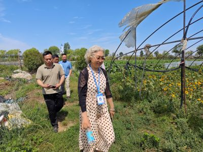 科技赋能花卉产业 平顶山特派员服务团赴叶县开展技术指导(图2)