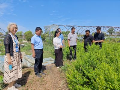 科技赋能花卉产业 平顶山特派员服务团赴叶县开展技术指导