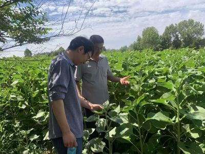 科技赋能花卉产业 平顶山特派员服务团赴叶县开展技术指导(图4)