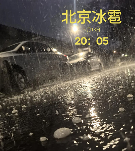 退林还耕的隐患(图1)