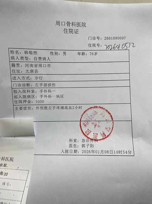 村书记送民就医暖人心(图3)