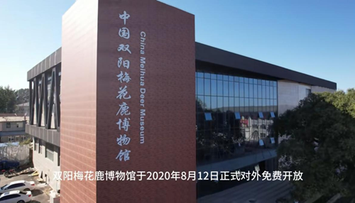 鹿乡珍馐香飘全国！双阳王氏双鹿先手工鹿肉饺子，解锁舌尖上的滋补盛宴(图1)