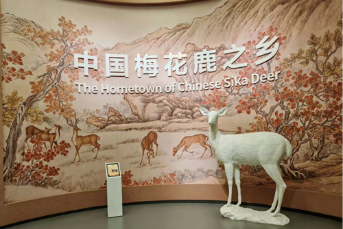 鹿乡珍馐香飘全国！双阳王氏双鹿先手工鹿肉饺子，解锁舌尖上的滋补盛宴(图2)