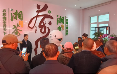 硒引全球 链创未来——湖南宝硒锚定新质生产力 生物AI共筑健康中国新坐标(图1)