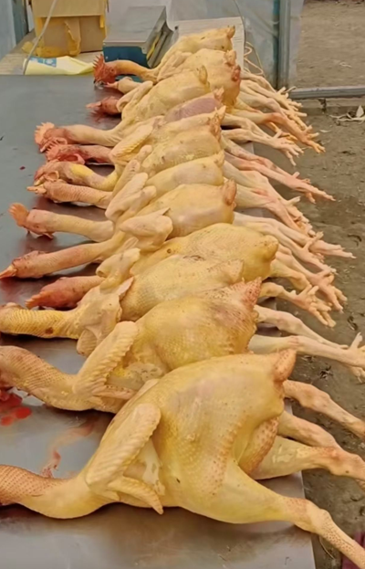 ����ũ�������س��Ĺ��紴ҵ ����̬ɢ���һض�ʱ������(ͼ4)