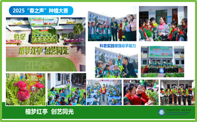 灵宝市实验小学“花开四季•科育未来”科普实践活动总结交流精彩纷呈(图5)