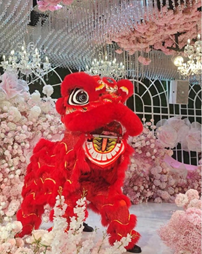 狮启马年新程 聚力共赴华章——爱朴环保科技马年年终晚会圆满落幕(图1)