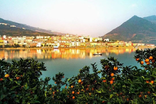 运动风情小镇水田坝(图1)