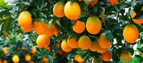 运动风情小镇水田坝(图2)