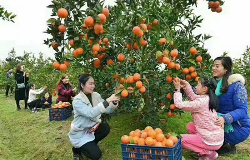 运动风情小镇水田坝(图3)
