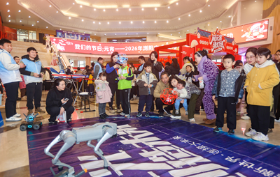 浏阳举办“骏马迎春贺元宵”活动 传统文化盛宴点亮元宵佳节(图9)