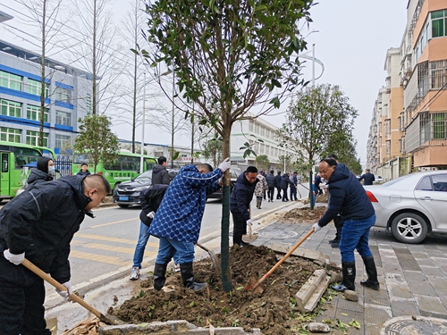春潮涌动添新绿 各地义务植树忙(图1)