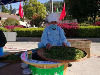 指尖上的传奇——记手工茶制作师冯安锦(图2)