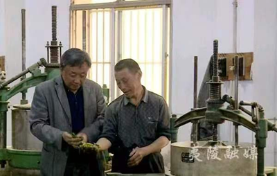 指尖上的传奇——记手工茶制作师冯安锦(图4)