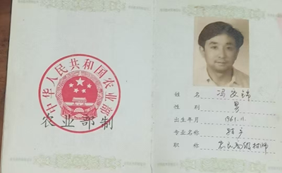 指尖上的传奇——记手工茶制作师冯安锦(图5)