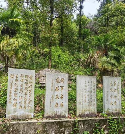 青山埋忠骨 鲜花祭英魂——中国梦组委会一行赴湖北大冶南山头革命纪念馆敬献花篮 (图3) 青山埋忠骨 鲜花祭英魂——中国梦组委会一行赴湖北大冶南山头革命纪念馆敬献花篮 (图3)
