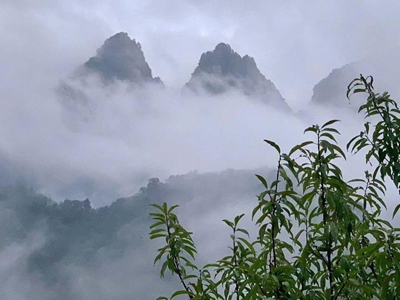 武当太极湖道养馆“三修九法”引领道养新范式 “千城万店”布局百亿大健康(图3)