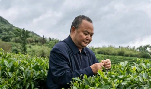 罗大友的茶文化学术研究与传播及“四茶体系”(图2)