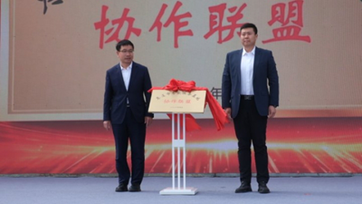     山东省人才引领乡村振兴项目对接活动暨"农行杯"枣庄市乡土特色品牌技能人才大赛启动仪式隆重举行(图17)