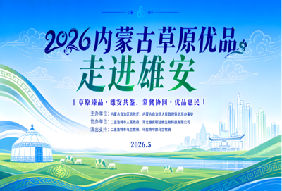 琴韵润雄安 非遗助产销——北京圆网慈善基金会修德教育基金志愿者助力内蒙古草原优品走进雄安(图10)