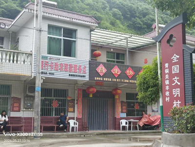 十年蝶变看“丰收”——镇安县青铜关镇丰收村乡村振兴绘就新画卷(图1)