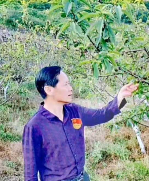  八年驻村守初心 扎根山村写担当——记秭归县沙镇溪镇倒座铺村原驻村第一书记宋秀万(图4)