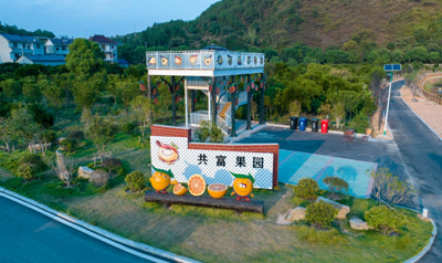 因地制宜发展农业新质生产力 绘就乡村振兴新图景(图3)
