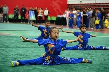 2026年灵丘县武术比赛圆满落幕(图3)