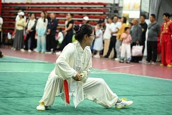 2026年灵丘县武术比赛圆满落幕(图4)