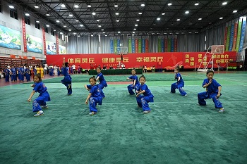2026年灵丘县武术比赛圆满落幕(图6)
