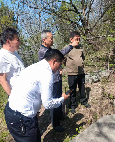 拜谒陈金河烈士(图4)