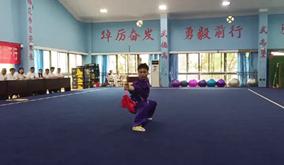 8名健儿入选！桃江武术队将代表益阳征战省运会(图2)