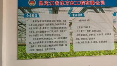 科技赋能乡村振兴 产业铺就共富之路—— 黑龙江省肇州县******村178栋智能暖棚项目盛大开工(图2) 科技赋能乡村振兴 产业铺就共富之路—— 黑龙江省肇州县******村178栋智能暖棚项目盛大开工(图2)