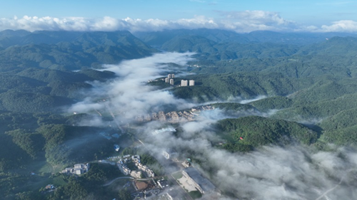 榛子的云（散文）(图1)