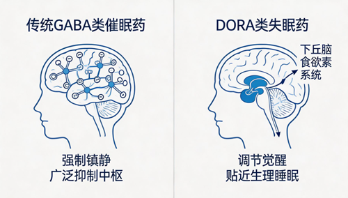 雷生类失眠药物为何未被列入管制药品？机制差异与安全性解读(图1)