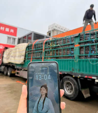暖心助农践初心｜全家享团队千里驰援广西六厚村，助销广东广西150吨滞销甘蔗(图5)