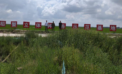 杜尔伯特蒙古族自治县巴彦查干乡：干群深耕生态沃土 同心践行振兴使命(图1)