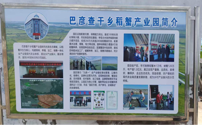 杜尔伯特蒙古族自治县巴彦查干乡：干群深耕生态沃土 同心践行振兴使命(图2)
