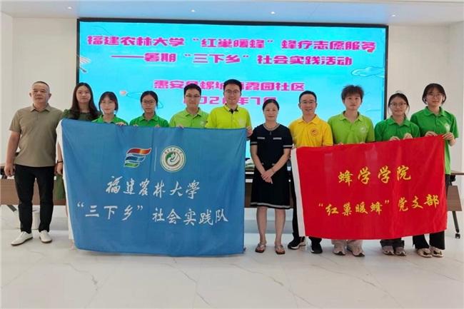 蜂疗义诊进社区 仁术惠民暖民心(图4) 蜂疗义诊进社区 仁术惠民暖民心(图4)