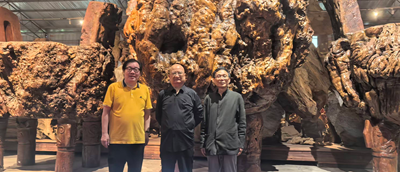 植根香港放眼全球 凌云树雕艺术基金揭牌启动 创华人艺术捐赠新纪元(图6)