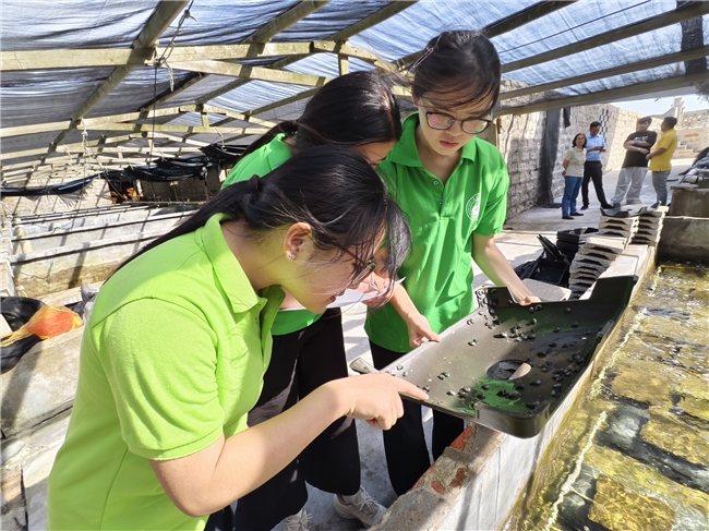 福建农林大学“鲍卫者”实践队赴平潭开展暑期社会实践(图3)