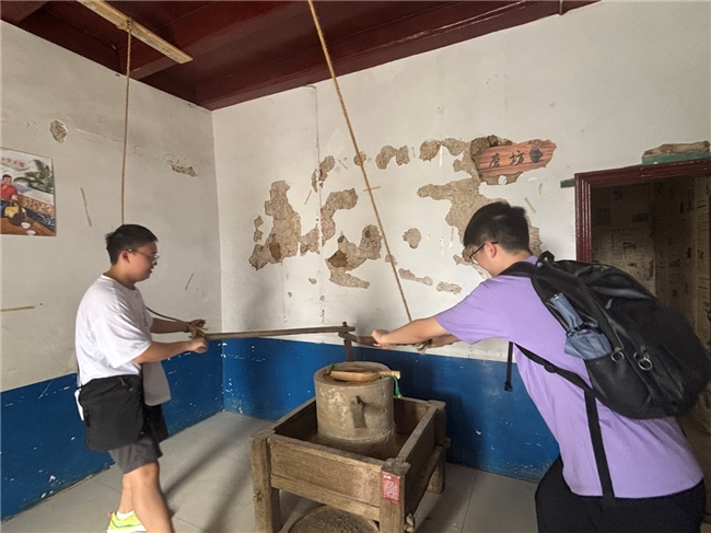 数智赋能武陵山 青春助跑振兴路(图5)