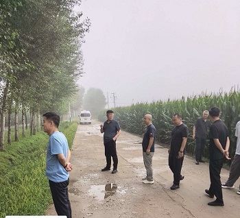 人居环境整治进行时：扶余市三岔河镇绘就宜居新画卷(图2)