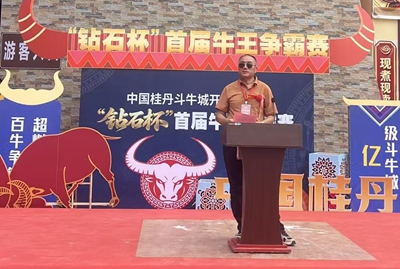 传承非遗斗牛文化，赋能南丹乡村振兴——“钻石杯”首届牛王争霸赛在中国桂丹斗牛城燃情启幕(图3)