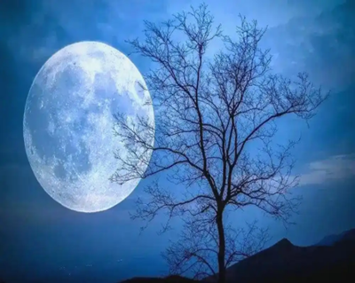 月光下的月亮埫（散文）(图2)