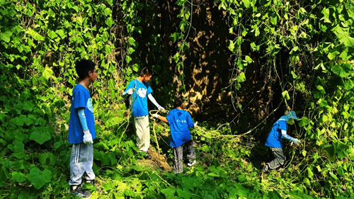 消灭入侵生物，保护生态家园——唐山堂堂少年志愿服务队开展刺果瓜清除行动(图2)